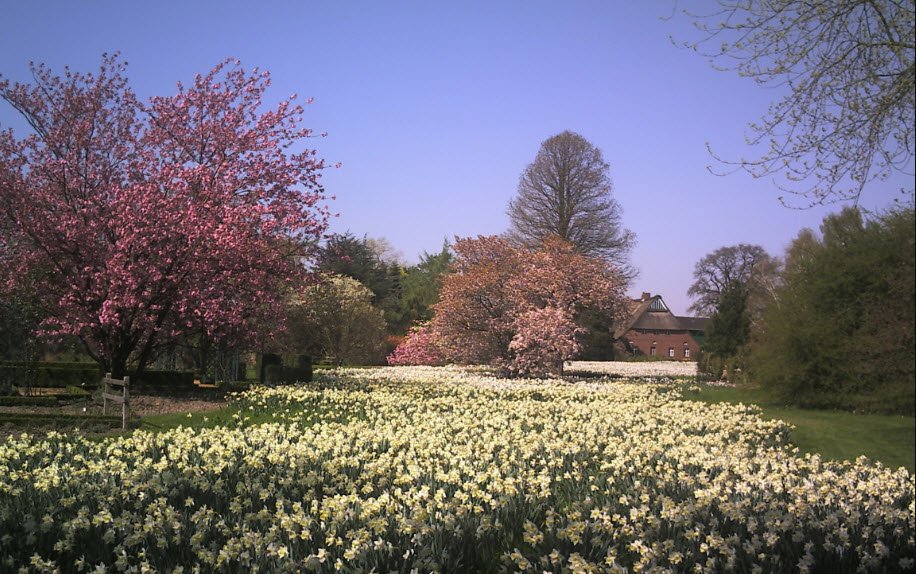 Ellerhoop-Thiensen Arboretum, Ellerhoop, Germany, Germany